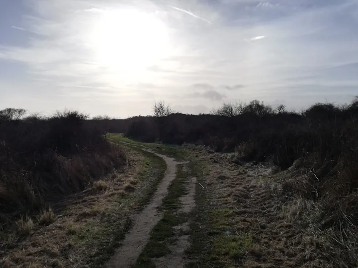 De Panne (België)